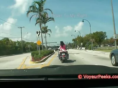 硬猫敲打着黑发女郎，在皮革沙发上放着巨大的水壶