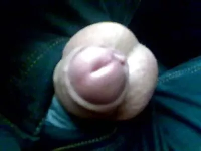 打扮的金发美女在家里有女同性恋讨厌的性行为