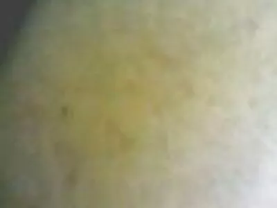 伙计们帮助金发美女，她照顾后座的公鸡